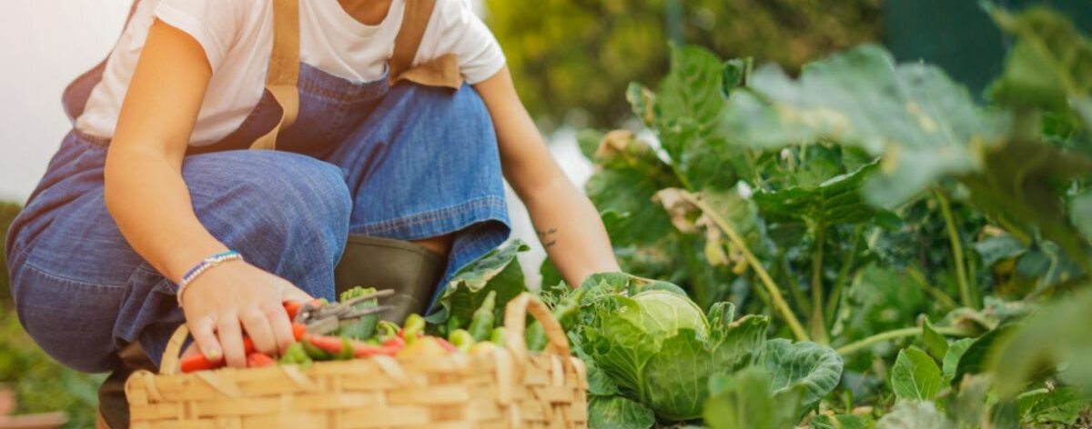 Call for social entrepreneurship projects: 2022 winners