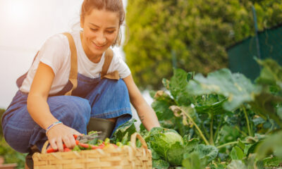 Call for social entrepreneurship projects: 2022 winners