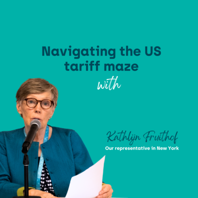 Navigating the tariff maze: a Brussels perspective from New York