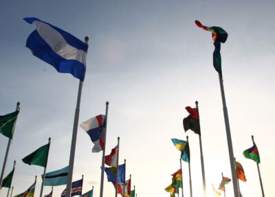 Free trade agreements: how can you make the most of them?