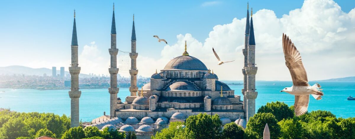 Belgian economic mission to Türkiye: Brussels companies strongly represented