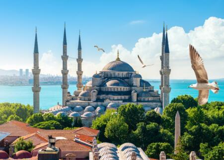 Belgische economische missie naar Turkije: Brussel tekent present